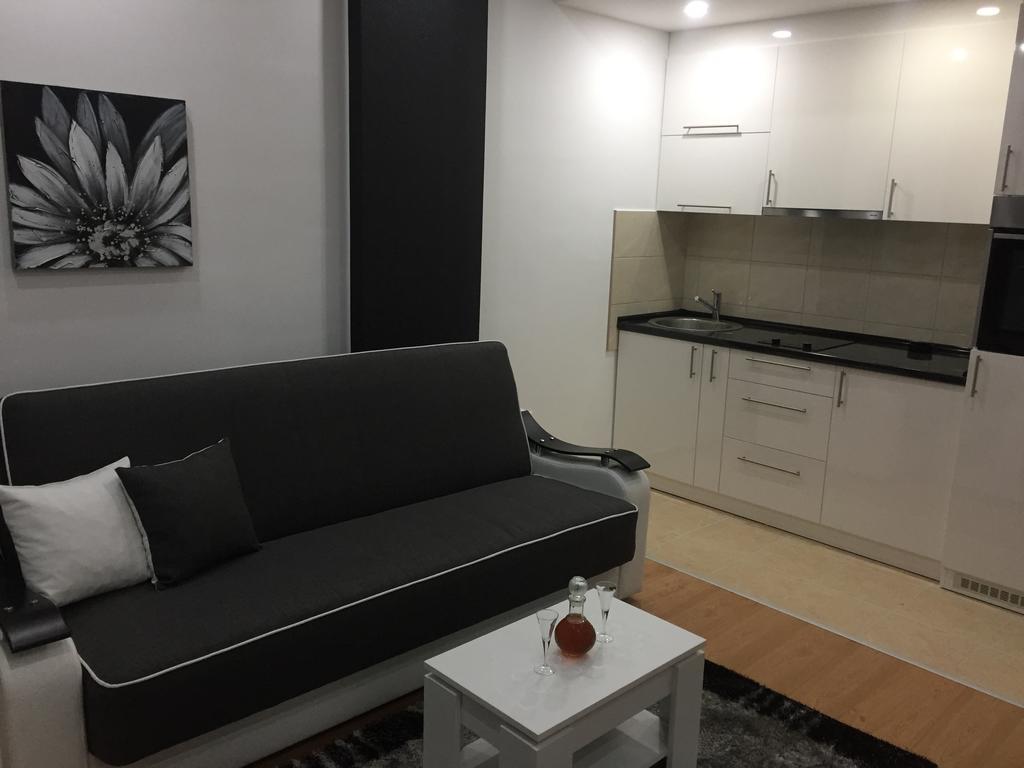 Apartman Jezdic Banja Koviljača エクステリア 写真